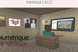 MANCHE - Analyse des pratiques professionnelles - séances 2017
