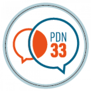 logo_PDN33